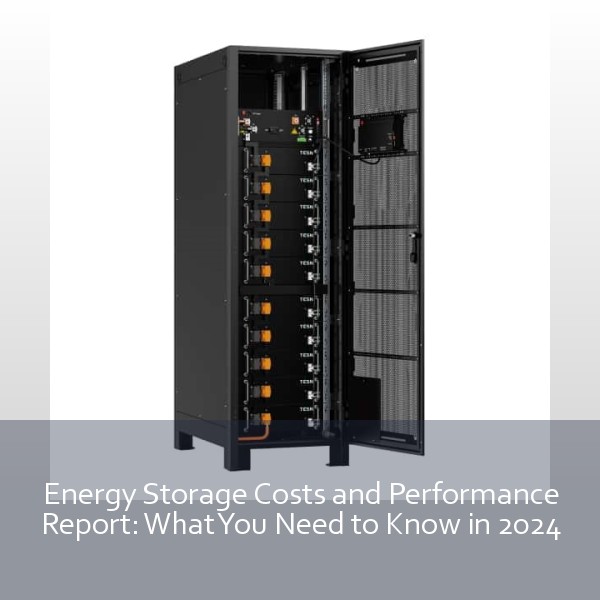 Energy Storage Costs and Performance Report: What You Need to Know in 2024